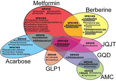 Frontiers | Pharmacomicrobiomics in Western Medicine and